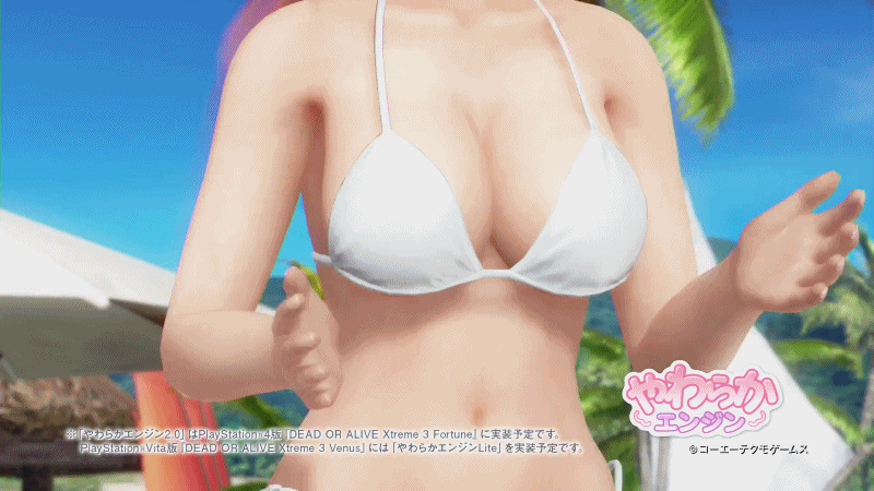 Dead or alive xtreme 3 hentai